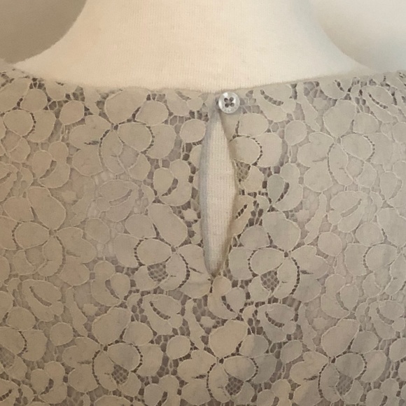 Like-New Grey Lace Talula/Aritzia 'Betsey' Top - Picture 10 of 13